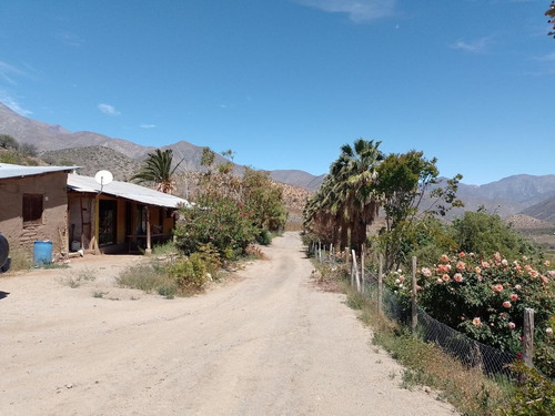 Imagen 18 de 20 de Predio Agua Amarilla, Monte Patria