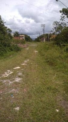 Imagem 5 de 5 de Terreno No Bairro Santa Cruz Em Itanhaém - 6449