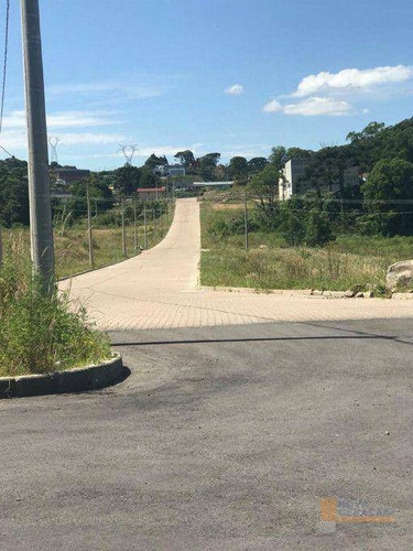 Imagem 10 de 11 de Terreno À Venda, 1706 M² Por R$ 650.000,00 - Mariland - Caxias Do Sul/rs - Te0253