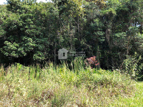 Imagem 9 de 23 de Área, São Lourenço, São Lourenço Da Serra - R$ 980 Mil, Cod: 4246 - V4246