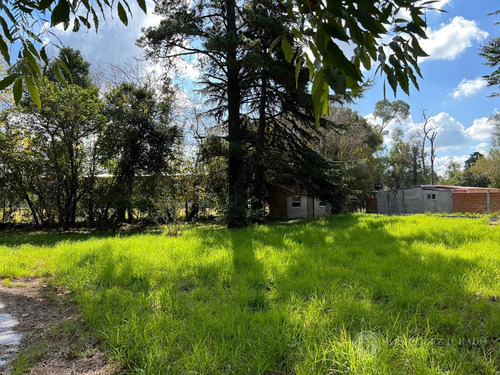 Imagen 3 de 3 de Lote En Benavidez Sobre Calle Patricios - A Metros De Avenida Benavidez