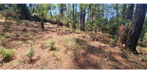 Terreno En Venta, Zona Avandaro