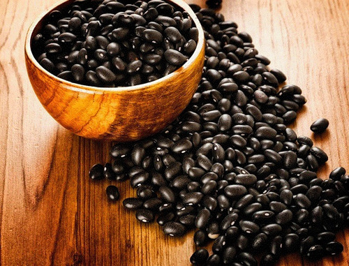150 Semillas De Frijol Ejortero Negro + Instructivo