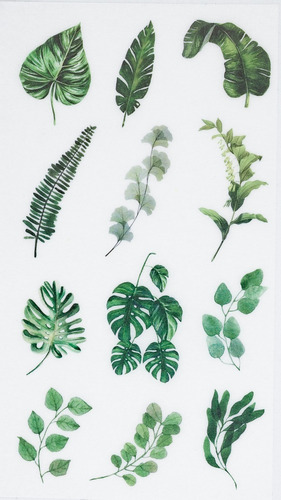 Conjunto de 6 modelos de adesivos de papel vegetal e de folhas