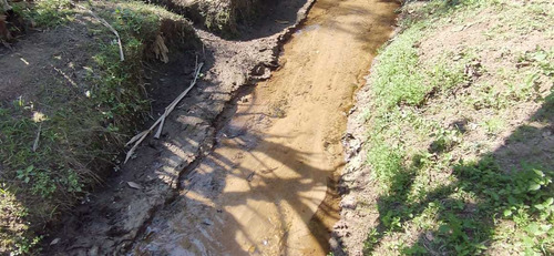 Imagem 9 de 14 de Miracatu/lindo Sitio Rico Em Agua/casa/ac/oferta/ref:05240