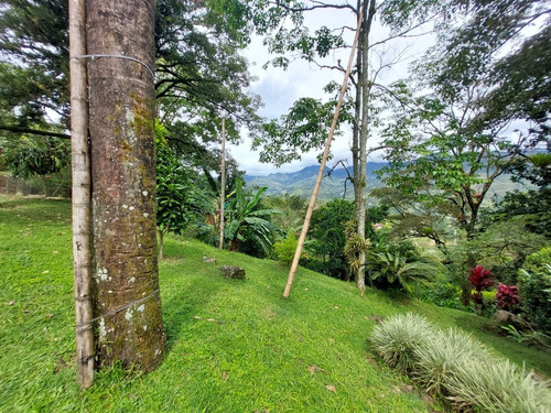 Imagen 14 de 29 de Bajó De Precio - Venta De Finca En La Parcelación Estación Popalito - Barbosa Antioquia