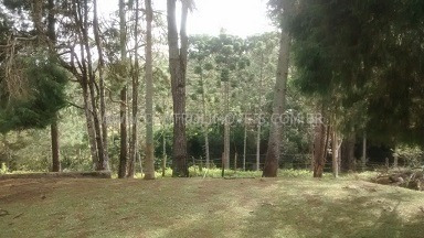 Imagem 12 de 17 de Rural - Ref: 01595