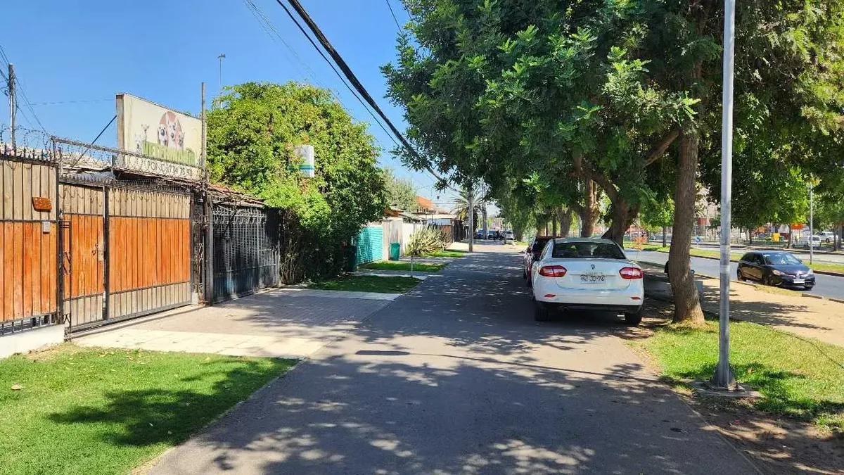 Imagen 2 de 23 de Se Vende Propiedad En Avenida Principal (96195)