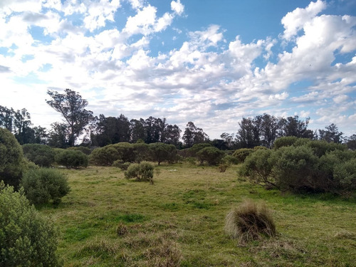 Imagen 7 de 12 de Campo En Venta - 10 Hectáreas Cerca De La Ruta 11