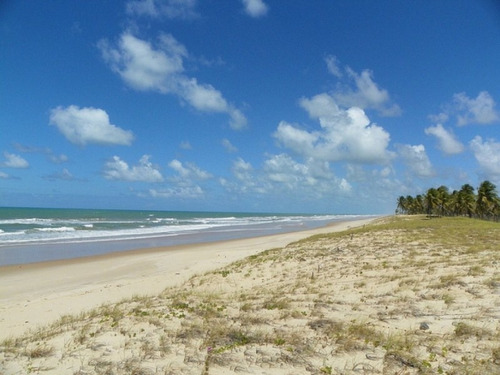 Imagem 4 de 19 de Terreno Frontais Ao Mar, Na Praia De Costa Azul, Litoral Norte Da Bahia - Ar386