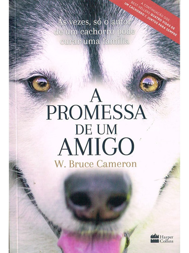 Promessa De Um Amigo