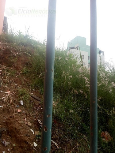 Imagem 4 de 6 de Terreno Para Venda, 0.0 M2, Vila Pereira Barreto - São Paulo - 728