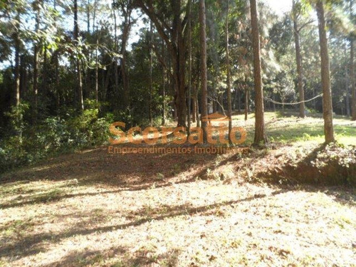 Imagem 16 de 19 de Chácara À Venda Itaquaciara, Itapecerica Da Serra/sp - 4152