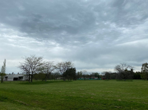 Imagen 3 de 16 de Lote En Estancia Las Lilas