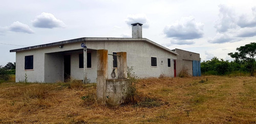 Imagen 4 de 9 de Oportunidad! Casa Sobre Camino Ariano - 1 Hectárea - Las Piedras