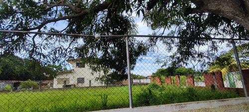 Imagen 6 de 8 de En Venta Terreno En La Urbanización Las Mercedes De Paparo Río Chico