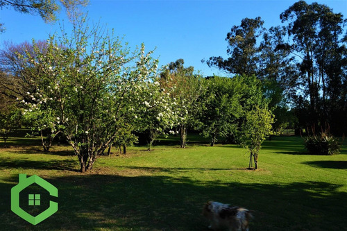 Imagen 2 de 30 de Quinta-miramar-pileta