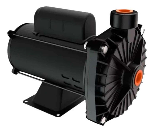 Bomba Centrífuga 1cv Monofásica 110/220v Cp6r Dancor