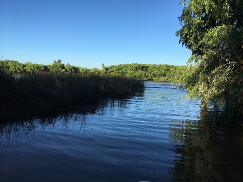 Imagen 2 de 7 de Terreno - Parana De Las Palmas Tigre