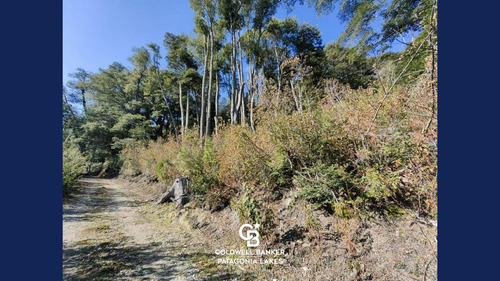 Imagen 13 de 23 de Venta Lote/terreno Fracción De 6500,24 M2 Vista Al Lago Faldeo Del Bayo Villa La Angostura