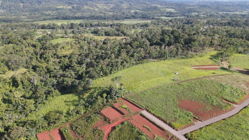 Imagen 2 de 9 de Lote De 5000 M²