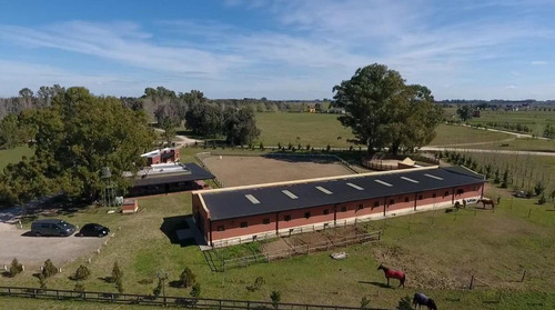 Imagen 14 de 16 de Chacra En Haras El Malacate, Centro Ecuestre, Pensionado, Polo