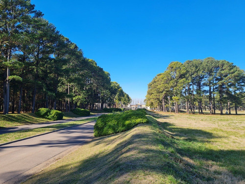 Imagen 7 de 25 de Oportunidad Etapa 1 Terreno Lote En Venta Ubicado En Pinares Cc, Exaltación De La Cruz, G.b.a. Zona Norte