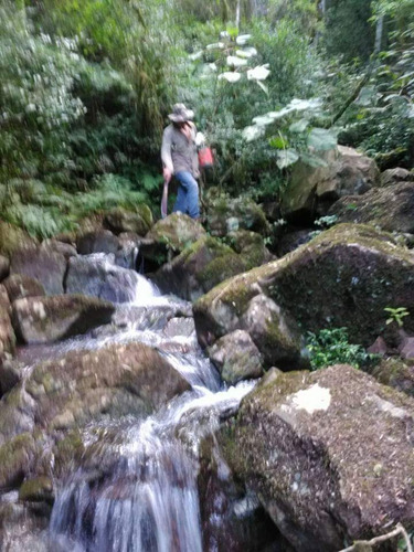 Imagen 7 de 12 de Chacra En Oberá ...colonia Yapeyú