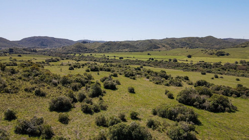 Imagen 8 de 13 de Chacra Campo En Venta En Aguas Blancas, Lavalleja, Mataojo (ref: Atm-6840)