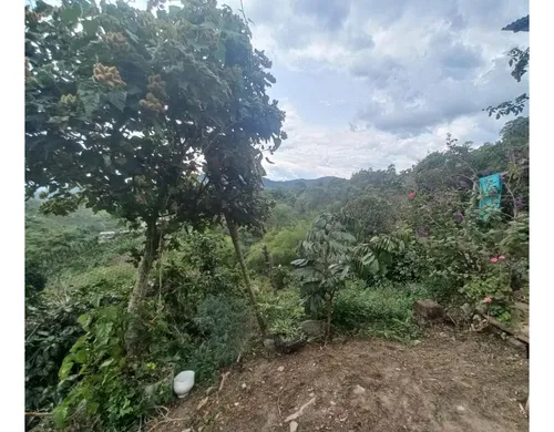 Se Vende Finca Córdoba Quindío
