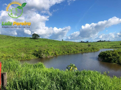 Imagem 3 de 15 de Fazenda À Venda Em Pacajá - Pa 692,12 Hectares - 2094