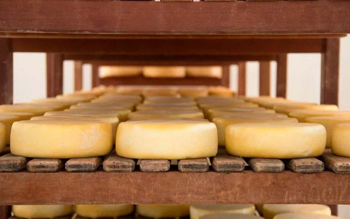 Queijo Minas Canastra Meia Cura 1,1 Kg - Artesanal