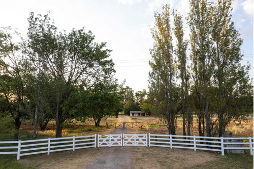 Chacra La Olvidada Altos De Areco