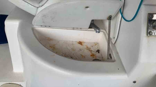 Imagem 7 de 25 de Lancha Fishing 28 Wa, Motor 2021 4 Tempos