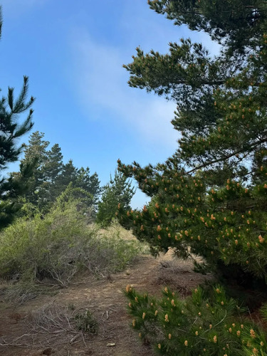 Terreno En Algarrobo Norte, Excelente Ubicación, 5.000 M2.