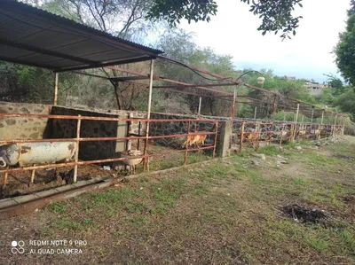 Rancho en venta