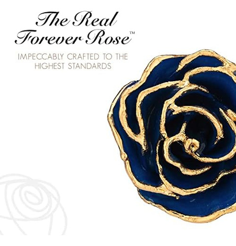 Forever Rose Edición Limitada De Rosa Brillante Bañada En Or