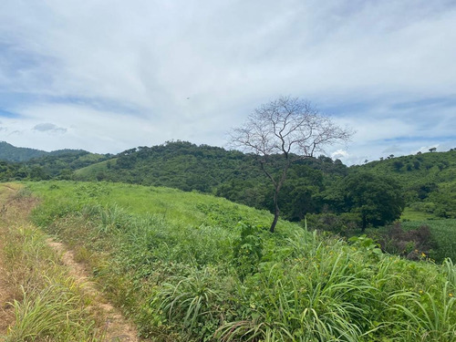 Oportunidad De Inversión En Chiapas: Rancho De 10 Hectáreas Con Documentación Al Día Y Plusvalía En Crecimiento