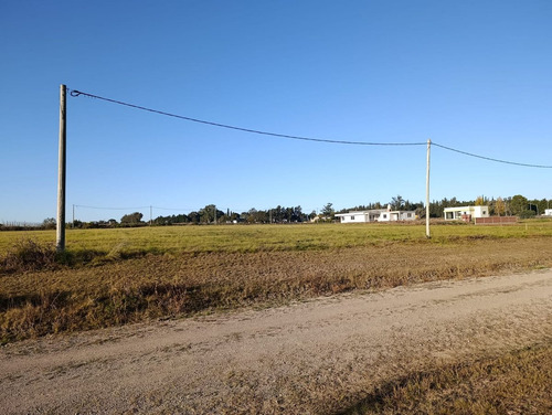 Terrenos En Libertador San Martín - Puiggari