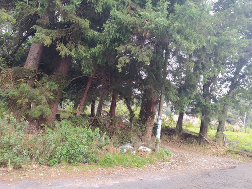Imagen 13 de 23 de En Venta 3 Terrenos En Huitzilac, Morelos.