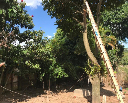 Imagem 13 de 18 de Chácara À Venda Na Vila Minerão - Sorocaba/sp - Ch00803 - 70632841