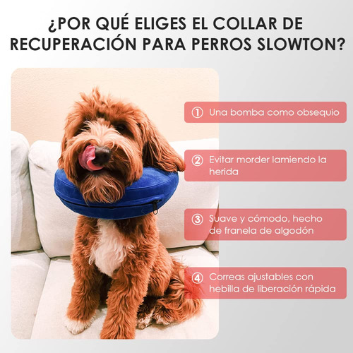 Collar Isabelino For Perros, Cono De Recuperación Inflable