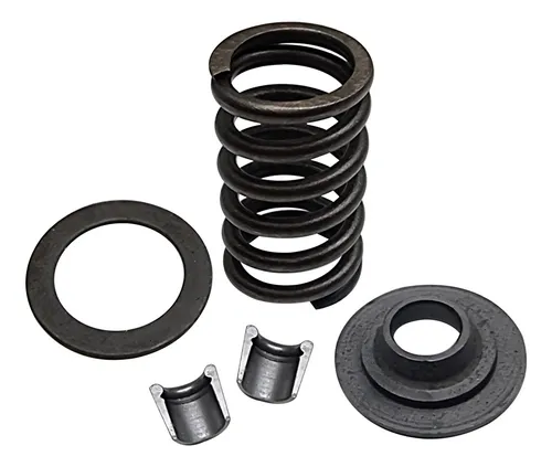 Kit Resorte Valvula R-19 Clio Express 1.9 Para Renault Kango