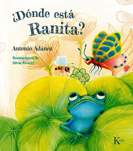 Libro Donde Esta Ranita - Adanez - Tapa Dura - Original