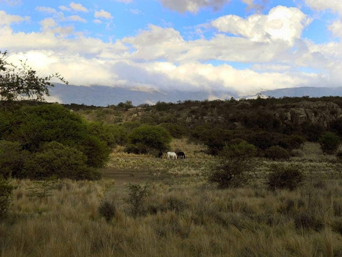 Imagen 5 de 25 de Excelente Campo Nativo De 103ha La Venta En Ojo De Agua!
