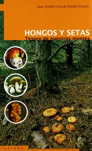 Libro: Hongos Y Setas: Tesoro De Nuestros Montes. Oria De Ru