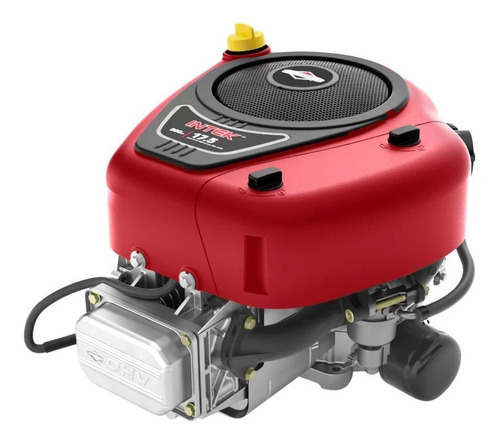 Valvulas 791035 E 792868 Motor Briggs Intek Vertical 17,5hp-