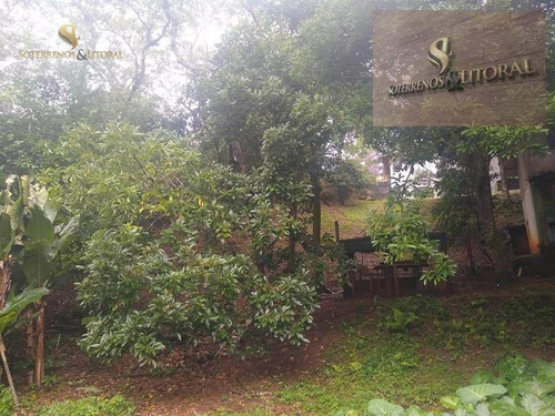 Imagem 21 de 30 de Chácara Santa Isabel - Ch0003