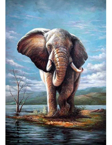 Kit Pintura Elefante Para Adulto Arte 5d Redondo Taladro