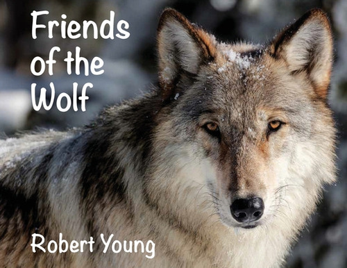 Friends Of The Wolf, De Young, Robert., Vol. 1. Editorial Lightning Source Inc, Tapa Blanda En Inglés